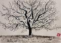 encre de chine_0009